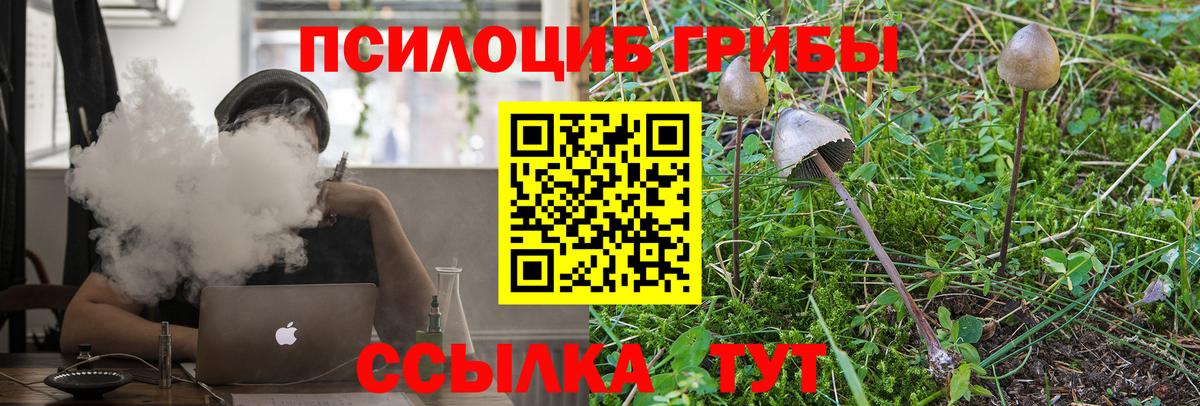 Алексеевка  Псилоцибиновые грибы MAGIC MUSHROOMS  Вход с VPN 
